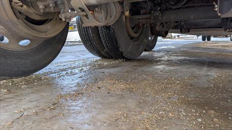 2017 Wilson Livestock