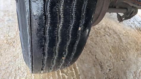 2017 Wilson Livestock