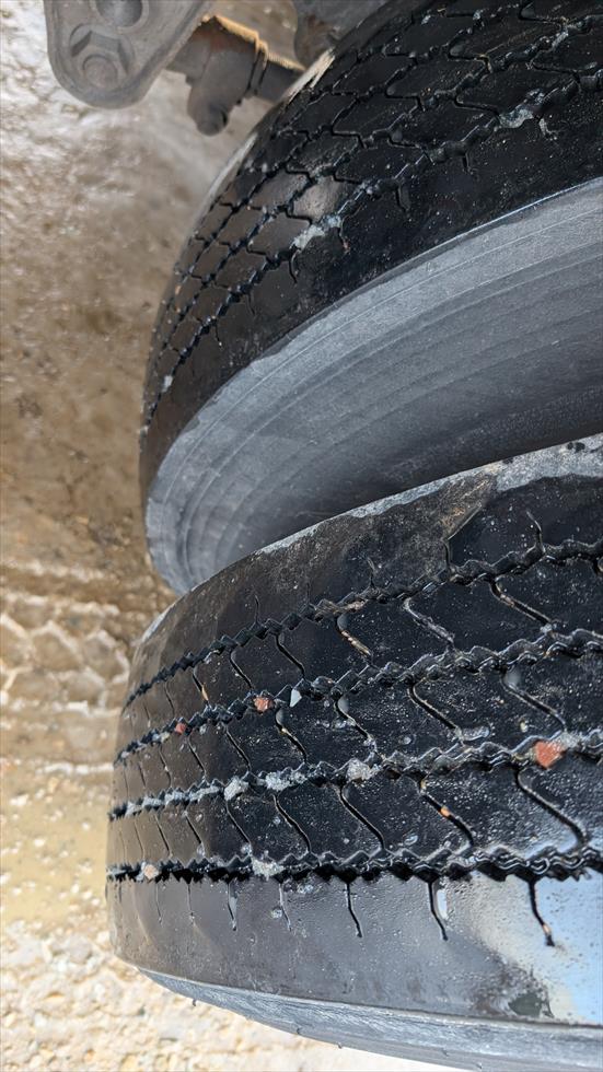 2017 Wilson Livestock