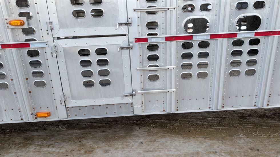 2017 Wilson Livestock