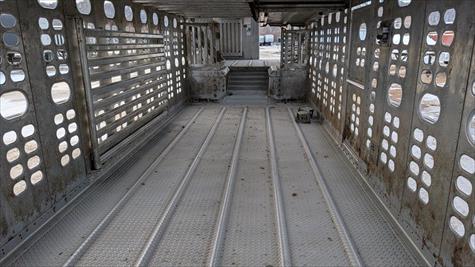 2017 Wilson Livestock