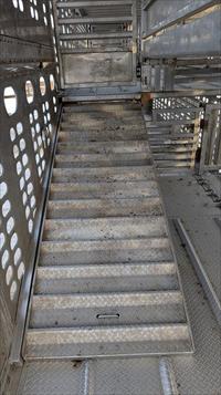 2017 Wilson Livestock