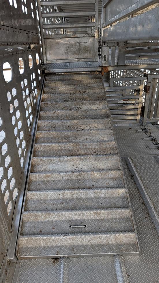 2017 Wilson Livestock