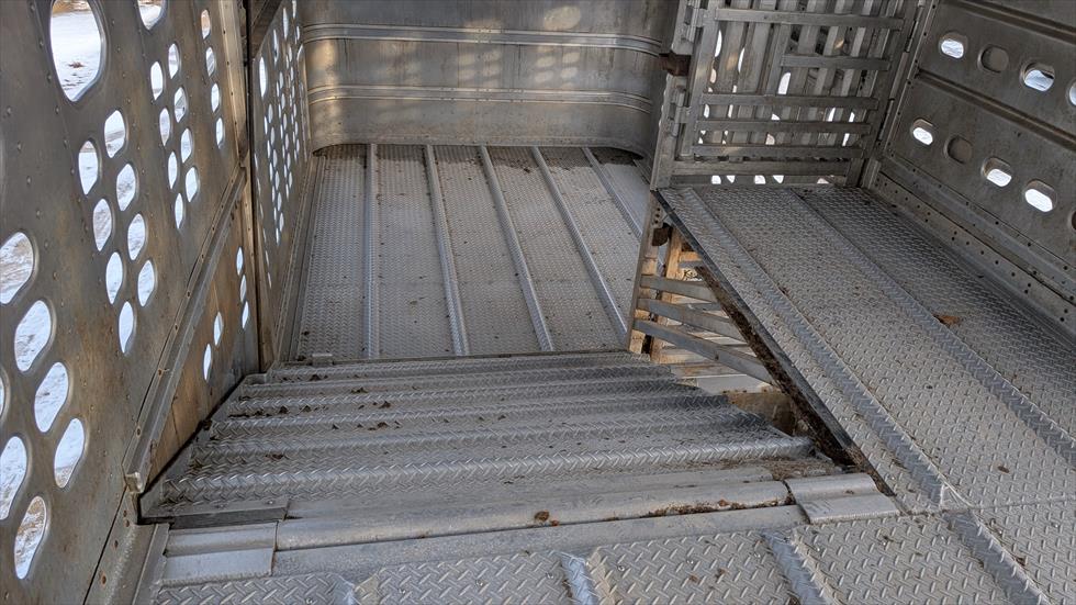 2017 Wilson Livestock