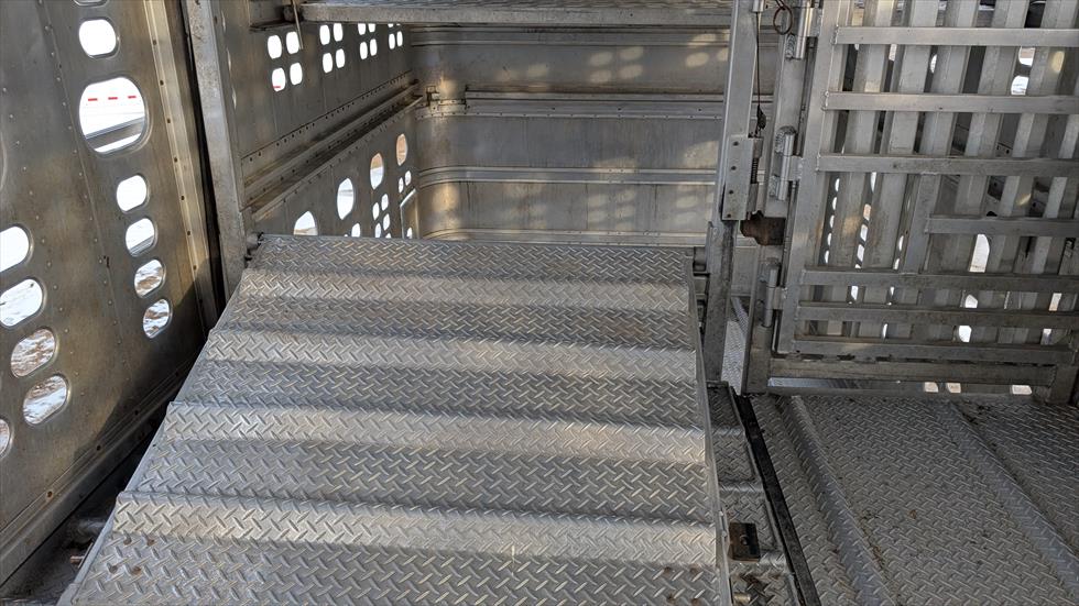 2017 Wilson Livestock