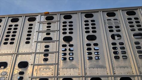 2017 Wilson Livestock