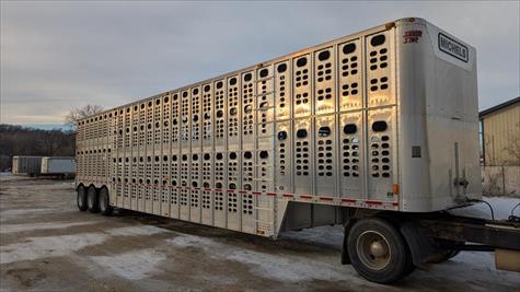 2017 Wilson Livestock