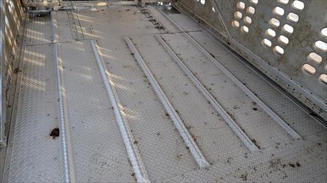 2017 Wilson Livestock