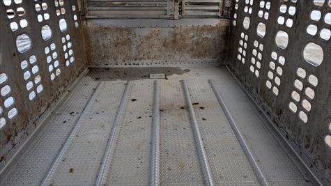 2017 Wilson Livestock