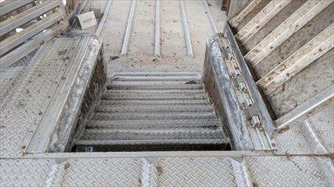 2017 Wilson Livestock