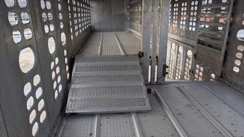 2017 Wilson Livestock