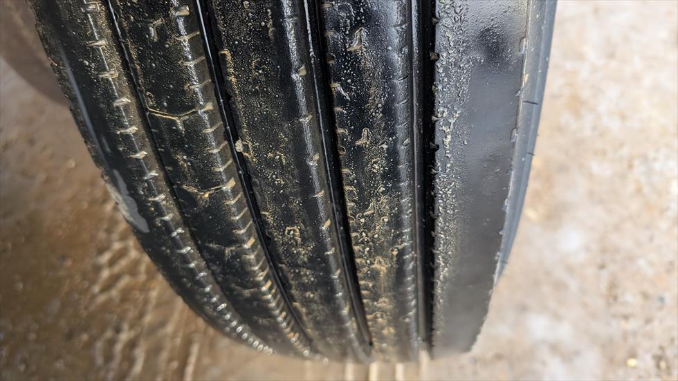 2017 Wilson Livestock