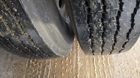 2017 Wilson Livestock