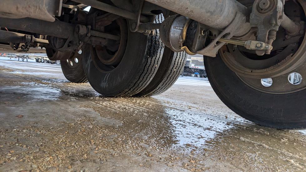 2017 Wilson Livestock