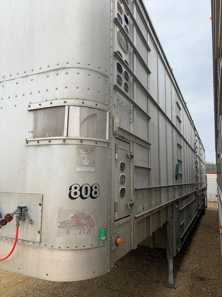 2008 Wilson Livestock