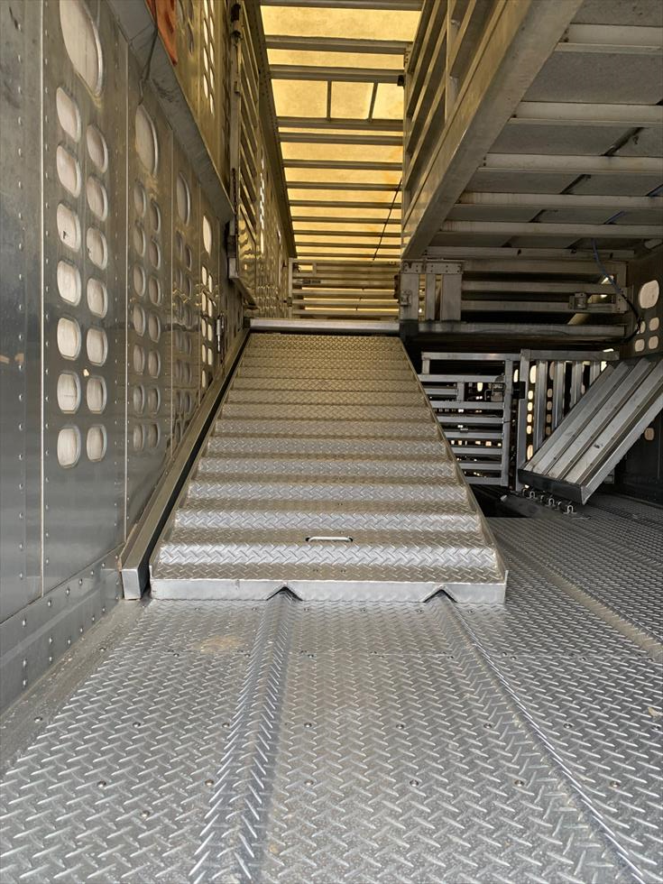 2008 Wilson Livestock