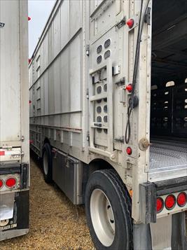 2008 Wilson Livestock